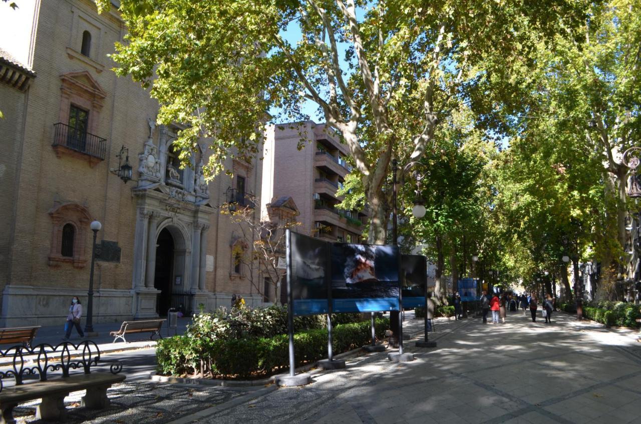 Carmela Suites Apartamento De Dos Dormitorios غرناطة المظهر الخارجي الصورة